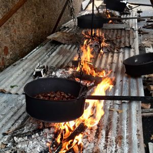 funghi-castagne-rock-n-roll-2025